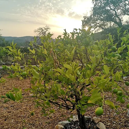 Quinta Da Familia Bed and Breakfast Λουλέ